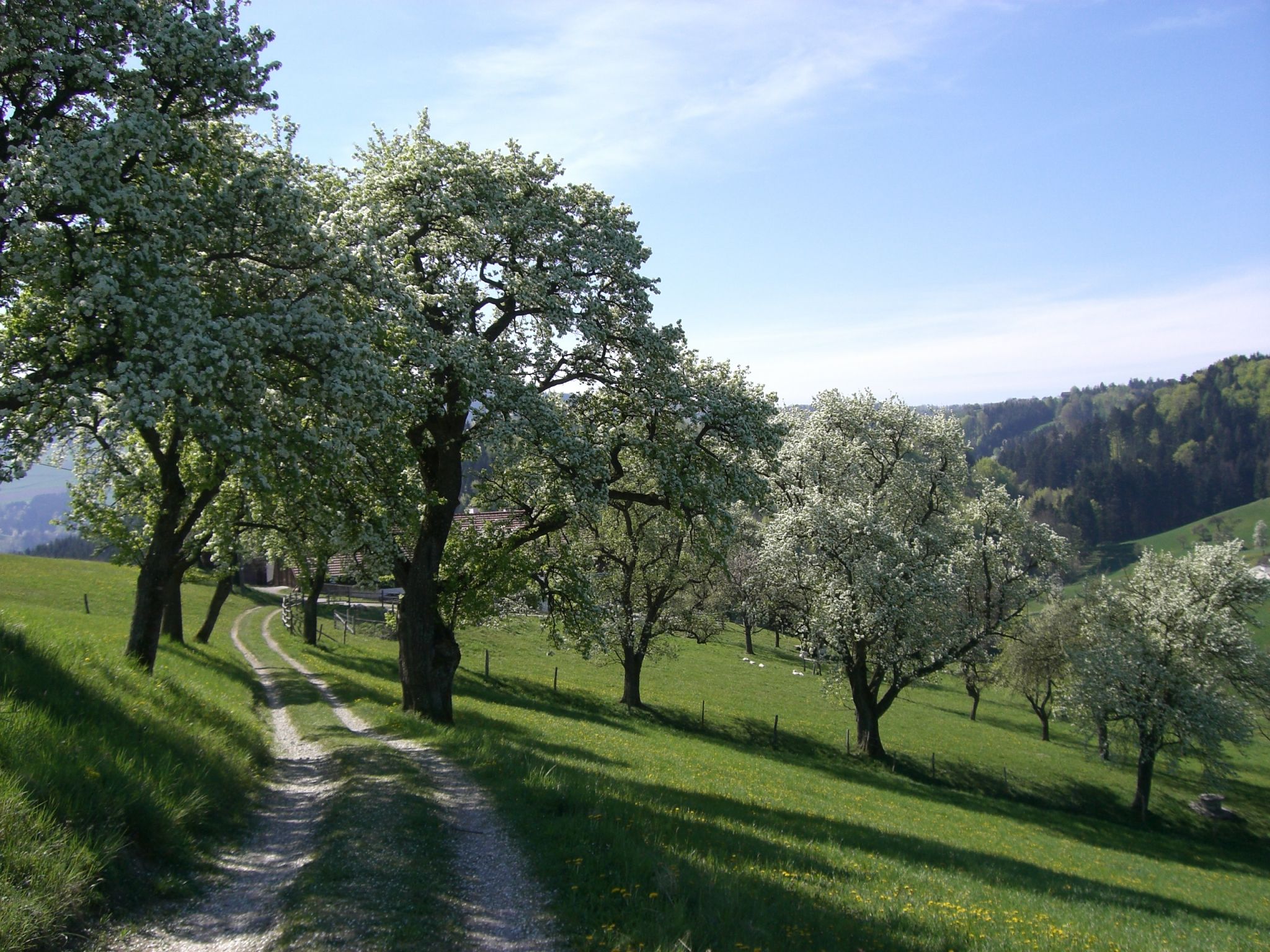 Most-Obst-Wanderweg