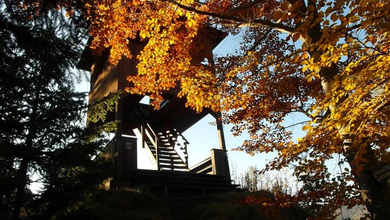 Lahnsattler Urwald / Holzknechtlehrpfad